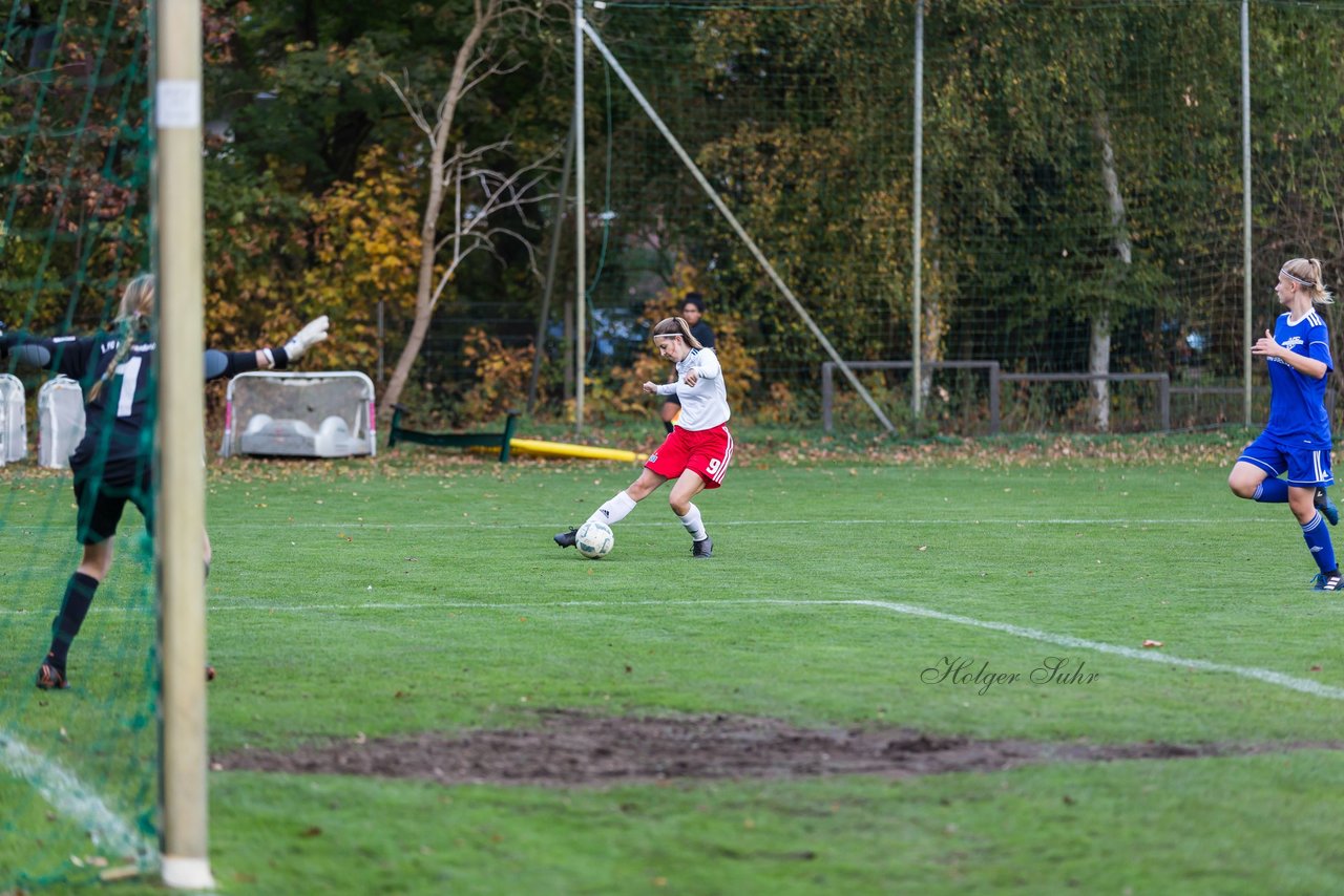 Bild 263 - B-Juniorinnen Hamburger SV - FC Neubrandenburg 04 : Ergebnis: 3:1